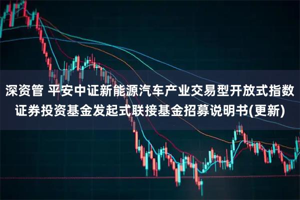 深资管 平安中证新能源汽车产业交易型开放式指数证券投资基金发起式联接基金招募说明书(更新)