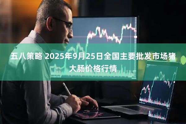 五八策略 2025年9月25日全国主要批发市场猪大肠价格行情