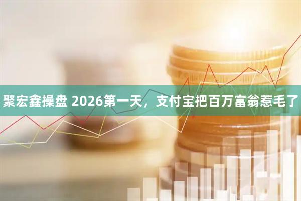 聚宏鑫操盘 2026第一天，支付宝把百万富翁惹毛了