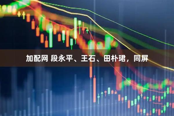 加配网 段永平、王石、田朴珺，同屏