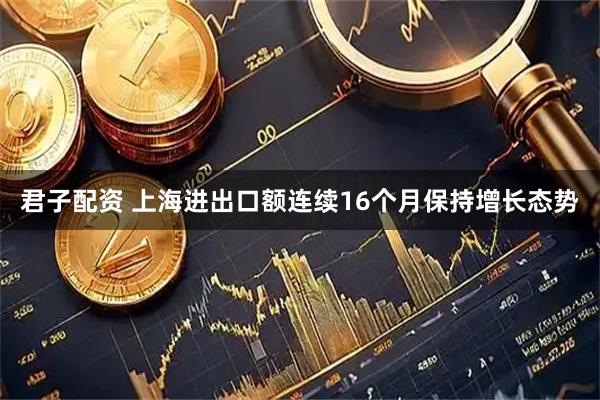 君子配资 上海进出口额连续16个月保持增长态势